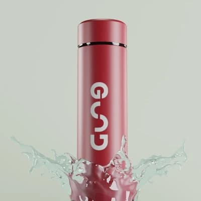 LED Temperature Digital Display Stainless Steel Water Bottle